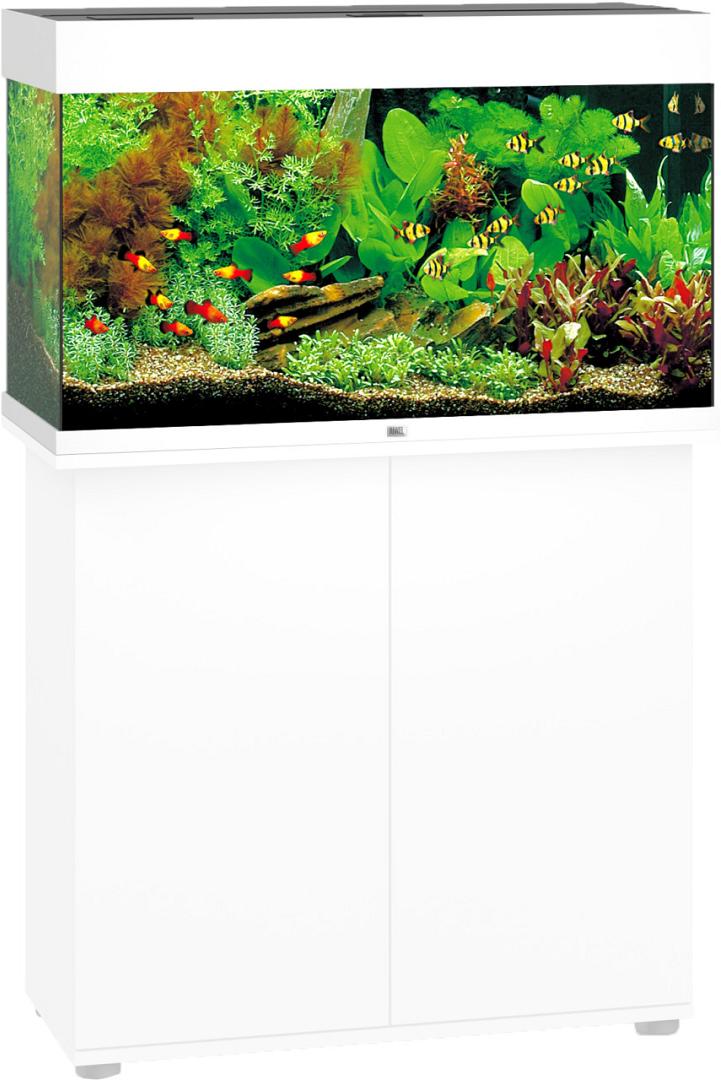 Pigment conjunctie Rot Juwel aquarium Rio 125 LED wit | Dierenwereld XL