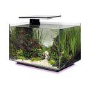 SuperFish Aquarium Quadro 40 Multi Colour Zwart