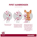 Advantix 100 6 pipetten