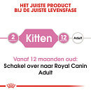 Royal Canin kattenvoer Kitten 2 kg