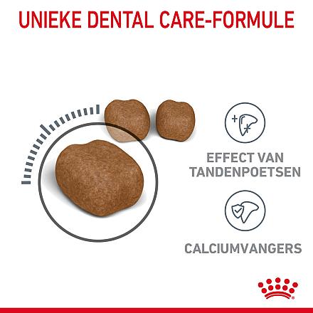 Royal Canin Kattenvoer Dental Care 1,5 kg