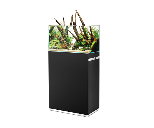 OASE aquarium Scaperline 60 Set Zwart